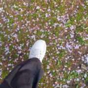 ヒメ日記 2025/04/18 19:00 投稿 キミ 人妻生レンタル