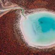 ヒメ日記 2025/06/18 04:20 投稿 キミ 人妻生レンタル