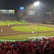 ヒメ日記 2025/06/18 16:10 投稿 キミ 人妻生レンタル