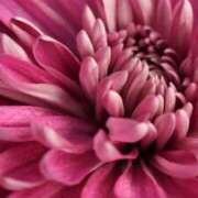 ヒメ日記 2025/08/10 19:57 投稿 キミ 人妻生レンタル