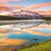 ヒメ日記 2025/08/21 22:50 投稿 キミ 人妻生レンタル