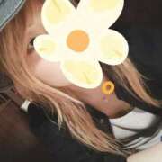 ヒメ日記 2025/09/22 15:04 投稿 キミ 人妻生レンタル