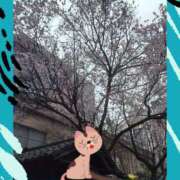 ヒメ日記 2025/04/03 11:10 投稿 ショウ 人妻生レンタル