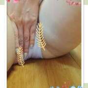 ヒメ日記 2025/04/19 18:30 投稿 ショウ 人妻生レンタル