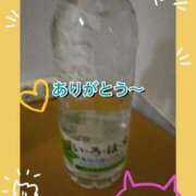 ヒメ日記 2025/05/31 15:57 投稿 ショウ 人妻生レンタル