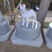 ヒメ日記 2025/07/02 07:30 投稿 ショウ 人妻生レンタル