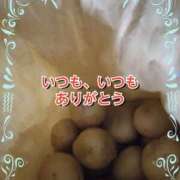 ヒメ日記 2025/07/05 14:14 投稿 ショウ 人妻生レンタル