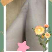 ヒメ日記 2025/10/11 22:07 投稿 ショウ 人妻生レンタル