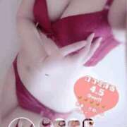 ヒメ日記 2025/08/17 12:25 投稿 ナチ 人妻生レンタル