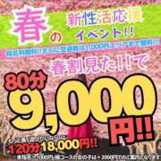 ヒメ日記 2025/04/17 12:40 投稿 フミカ 人妻生レンタル