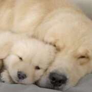 ヒメ日記 2025/06/27 17:20 投稿 フミカ 人妻生レンタル