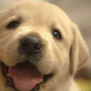 ヒメ日記 2025/07/07 22:23 投稿 フミカ 人妻生レンタル