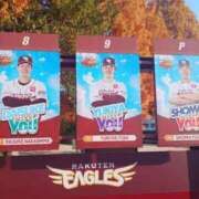 ヒメ日記 2025/11/23 12:40 投稿 フミカ 人妻生レンタル