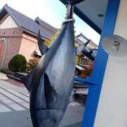 ヒメ日記 2025/11/25 19:20 投稿 フミカ 人妻生レンタル