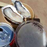 ヒメ日記 2026/03/14 12:30 投稿 フミカ 人妻生レンタル