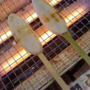 ヒメ日記 2026/03/14 15:33 投稿 フミカ 人妻生レンタル