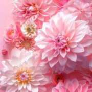 ヒメ日記 2025/03/12 05:40 投稿 アイリ★仙南限定 人妻生レンタル