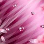 ヒメ日記 2025/03/20 05:50 投稿 アイリ★仙南限定 人妻生レンタル