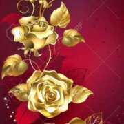 ヒメ日記 2025/04/15 06:50 投稿 アイリ★仙南限定 人妻生レンタル