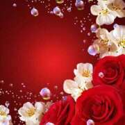 ヒメ日記 2025/04/16 05:20 投稿 アイリ★仙南限定 人妻生レンタル