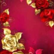 ヒメ日記 2025/04/17 06:10 投稿 アイリ★仙南限定 人妻生レンタル