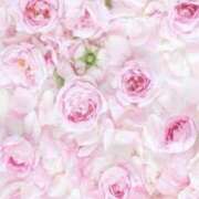 ヒメ日記 2025/06/19 14:32 投稿 アイリ★仙南限定 人妻生レンタル