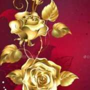 ヒメ日記 2025/06/25 17:00 投稿 アイリ★仙南限定 人妻生レンタル