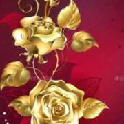 ヒメ日記 2025/11/28 05:20 投稿 アイリ★仙南限定 人妻生レンタル