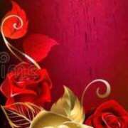 ヒメ日記 2026/03/18 05:00 投稿 アイリ★仙南限定 人妻生レンタル