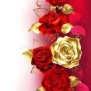 ヒメ日記 2026/03/20 05:40 投稿 アイリ★仙南限定 人妻生レンタル