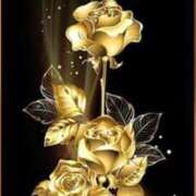 ヒメ日記 2026/03/21 05:20 投稿 アイリ★仙南限定 人妻生レンタル