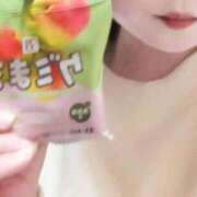 ヒメ日記 2025/12/06 14:40 投稿 ハルキ 人妻生レンタル