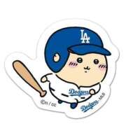 ヒメ日記 2025/03/14 21:50 投稿 セリナ 人妻生レンタル