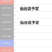 ヒメ日記 2025/04/18 17:40 投稿 セリナ 人妻生レンタル