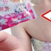 ヒメ日記 2025/04/20 19:30 投稿 セリナ 人妻生レンタル