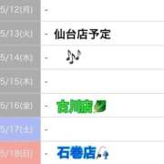 ヒメ日記 2025/05/11 18:50 投稿 セリナ 人妻生レンタル