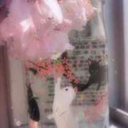 ヒメ日記 2025/05/21 23:30 投稿 セリナ 人妻生レンタル