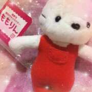 ヒメ日記 2025/06/01 01:00 投稿 セリナ 人妻生レンタル