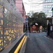 ヒメ日記 2025/06/11 17:50 投稿 セリナ 人妻生レンタル