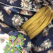 ヒメ日記 2025/08/03 23:53 投稿 セリナ 人妻生レンタル