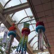 ヒメ日記 2025/08/05 19:53 投稿 セリナ 人妻生レンタル