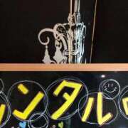 ヒメ日記 2025/09/04 17:05 投稿 セリナ 人妻生レンタル