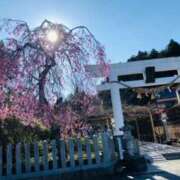 ヒメ日記 2025/10/20 09:50 投稿 セリナ 人妻生レンタル