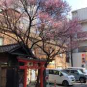 ヒメ日記 2026/03/31 16:20 投稿 セリナ 人妻生レンタル