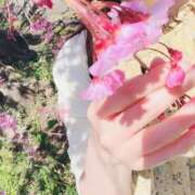 ヒメ日記 2026/04/07 12:38 投稿 セリナ 人妻生レンタル