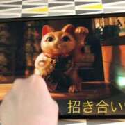 ヒメ日記 2026/06/09 21:30 投稿 セリナ 人妻生レンタルNTR