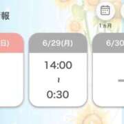 ヒメ日記 2026/06/28 08:50 投稿 セリナ 人妻生レンタルNTR