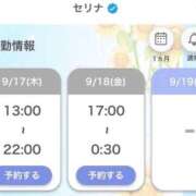 セリナ 22時まで 人妻生レンタルNTR