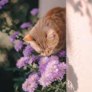 ヒメ日記 2025/03/21 12:30 投稿 アコ 人妻生レンタル