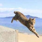 ヒメ日記 2025/04/09 22:29 投稿 アコ 人妻生レンタル